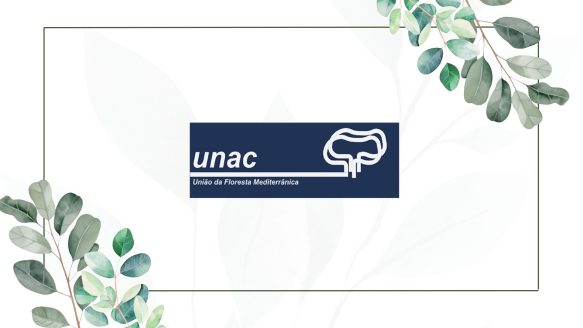 UNAC – Unión del Bosque Mediterráneo: Compromiso con la sostenibilidad forestal