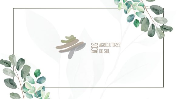 ACOS – Agricultores do Sul: Un pilar en el desarrollo del sector ganadero
