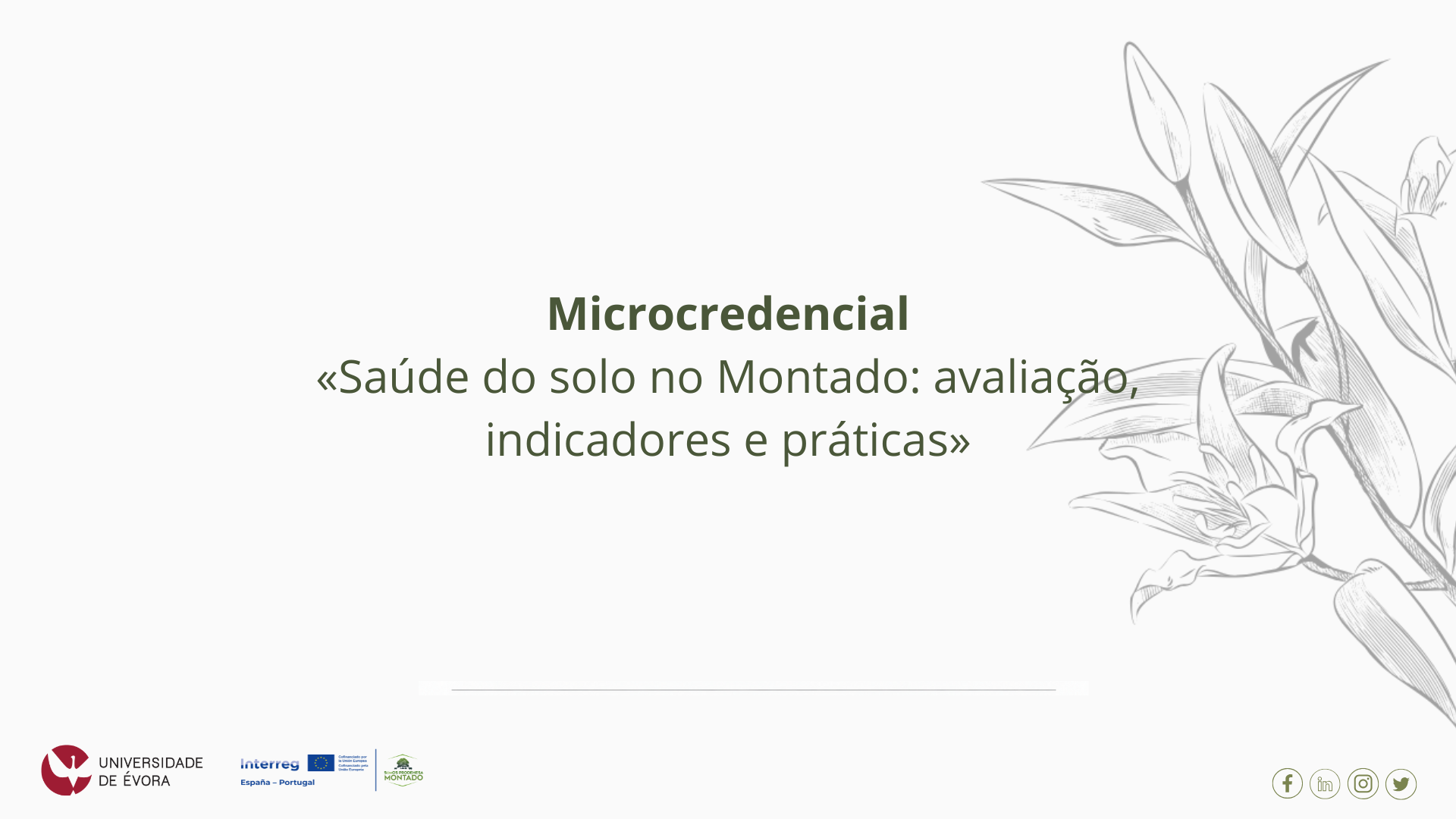 Applications open for the microcredential “Soil Health in the Montado: Assessment, Indicators and Practices”