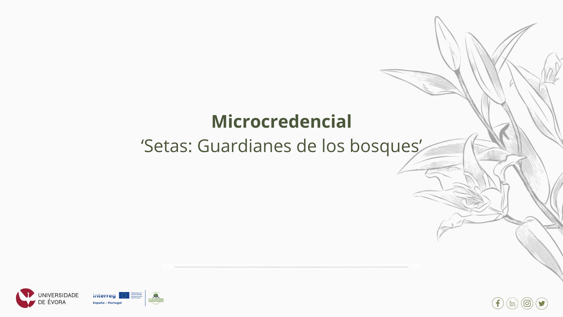Abiertas las candidaturas para la microcredencial «Setas: guardianes de los bosques»