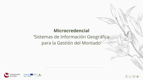 Abiertas las candidaturas para la microcredencial «Sistemas de Información Geográfica para la Gestión del Montado»