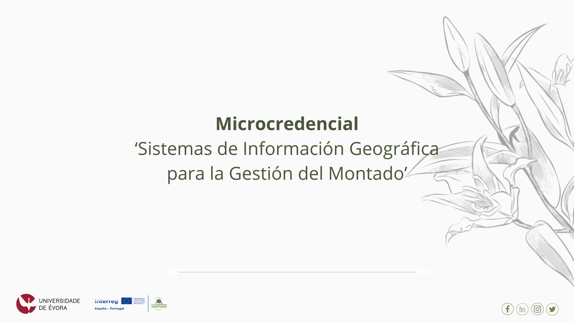 Abiertas las candidaturas para la microcredencial «Sistemas de Información Geográfica para la Gestión del Montado»