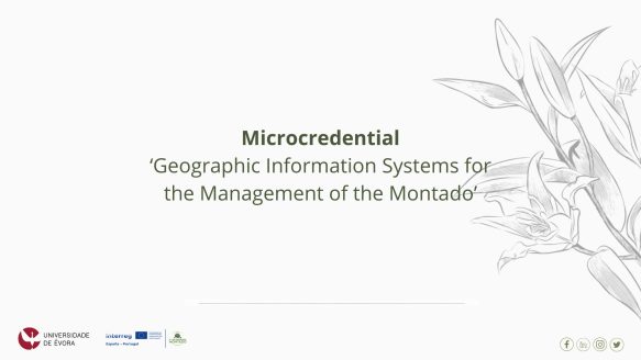 Applications open for the microcredential “Geographic Information Systems for Montado Management”