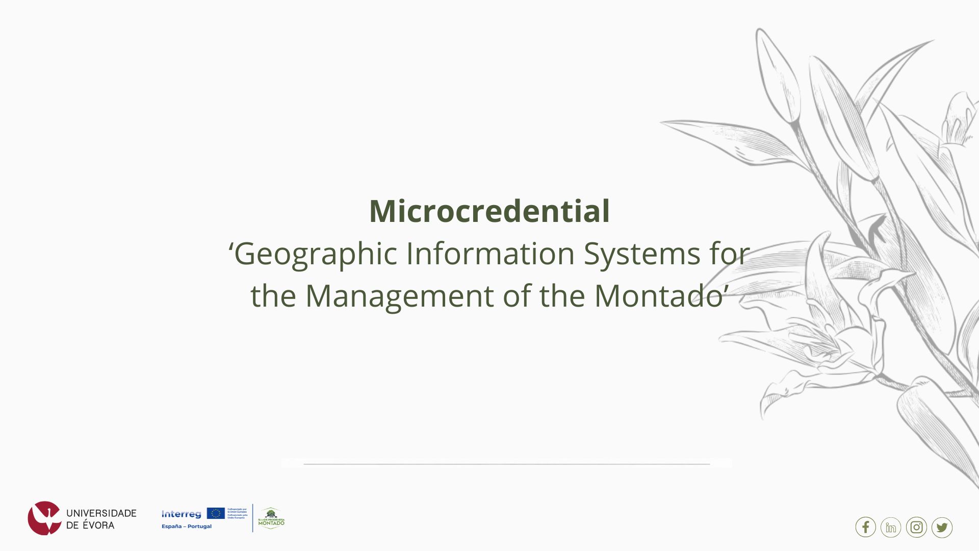 Applications open for the microcredential “Geographic Information Systems for Montado Management”