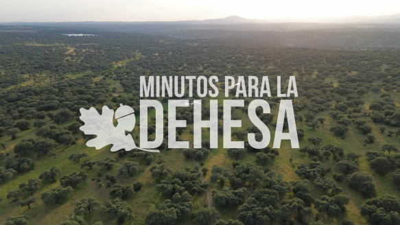 A story begins in the dehesa: «Minutos para la dehesa» is here