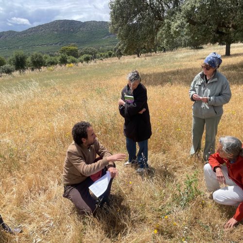 IV Jornada de Transferencia de Buenas Prácticas: Servicios Ecosistémicos con Ganadería en la finca «La Rinconada»