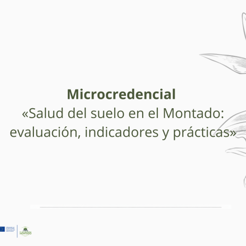 Abiertas las candidaturas para la microcredencial «Salud del suelo en el Montado: evaluación, indicadores y prácticas»