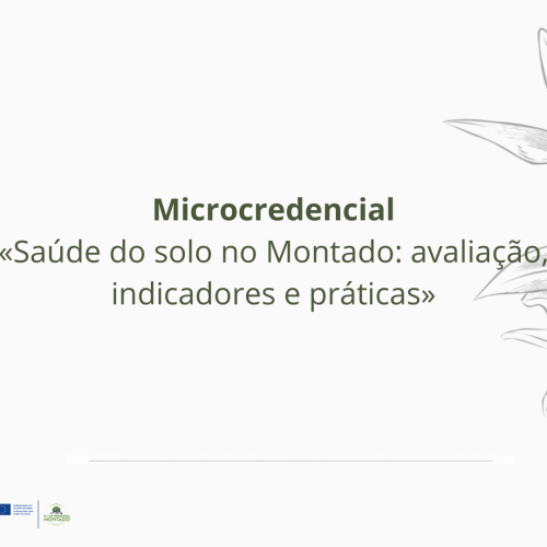 Abertas as candidaturas para a microcredencial «Saúde do solo no Montado: avaliação, indicadores e práticas»