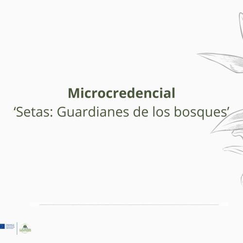 Abiertas las candidaturas para la microcredencial «Setas: guardianes de los bosques»