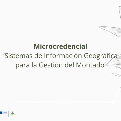 Abiertas las candidaturas para la microcredencial «Sistemas de Información Geográfica para la Gestión del Montado»