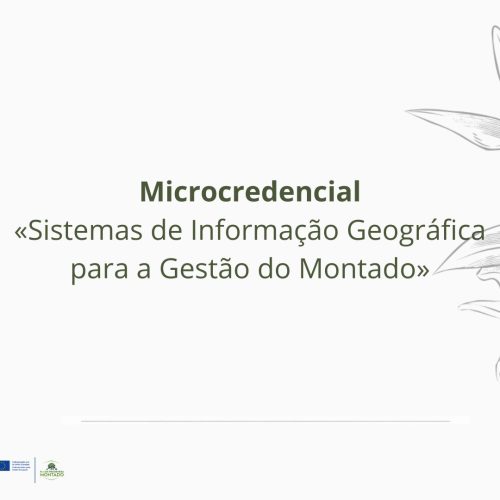 Abertas as candidaturas para a microcredencial «Sistemas de Informação Geográfica para a Gestão do Montado»