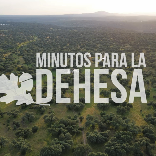 Comienza una historia en la dehesa: llega «Minutos para la dehesa»